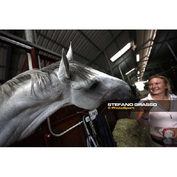 Nadir di Sanpatrignano playing with his groom at San Patrignano San Patrignano, 18th july 2008 ph. Stefano Grasso