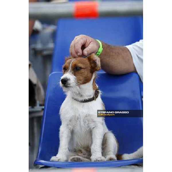 special guest San Patrignano, 19th july 2008 ph. Stefano Grasso