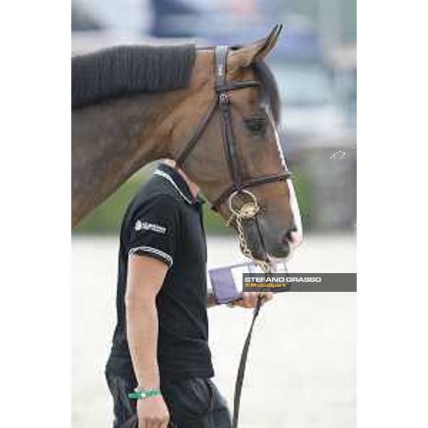 LGCT of Valkenswaard - Vet check - Hello Shelby - Valkenswaard, Stal Tops, 9 August 2018 - ph.Stefano Grasso/LGCT