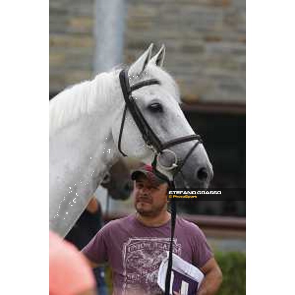 LGCT of Valkenswaard - Vet check - Carlo 273 - Valkenswaard, Stal Tops, 9 August 2018 - ph.Stefano Grasso/LGCT