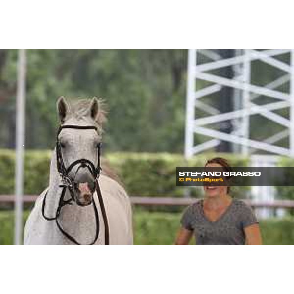 LGCT of Valkenswaard - Vet check - Cornado NRW - Valkenswaard, Stal Tops, 9 August 2018 - ph.Stefano Grasso/LGCT