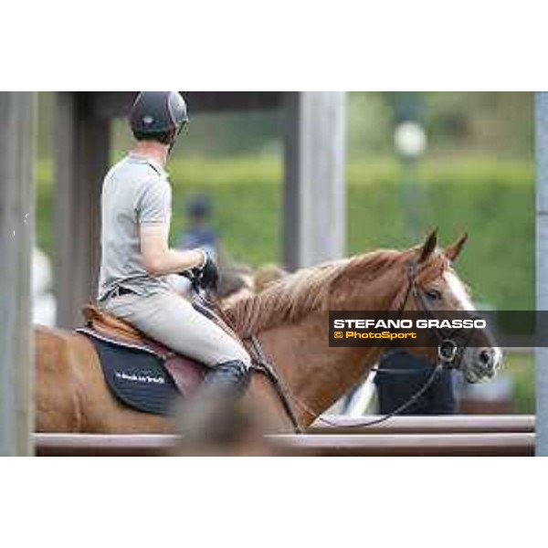 LGCT of Valkenswaard - Warm up - Harrie Smolders (NED) on Emerald - Valkenswaard, Stal Tops, 9 August 2018 - ph.Stefano Grasso/LGCT