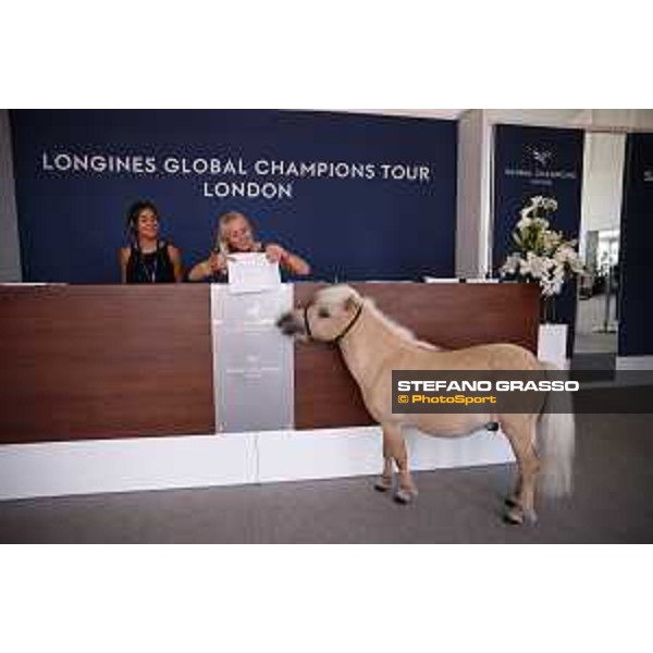 LGCT of London - Various - Pony - London, Royal Hospital Chelsea, 5 August 2018 - ph.Mario Grassia/LGCT