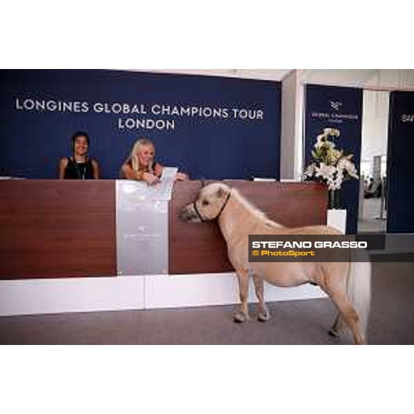 LGCT of London - Various - Pony - London, Royal Hospital Chelsea, 5 August 2018 - ph.Mario Grassia/LGCT
