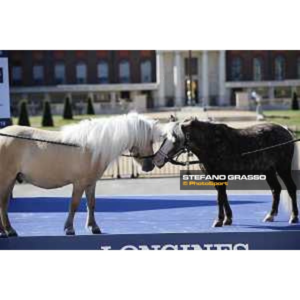 LGCT of London - Various -Pony stars - London, Royal Hospital Chelsea, 5 August 2018 - ph.Mario Grassia/LGCT