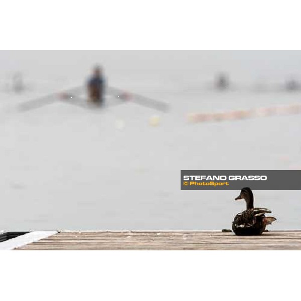 World Rowing Senior and Junior Championships Linz- Ottensheim, 26th july 2008 ph. Stefano Grasso