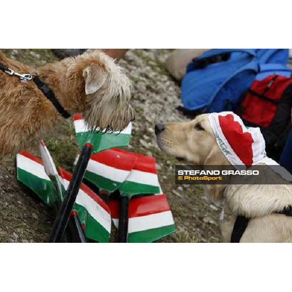 highlights of Italian team at World rowing championship Senior and Junior Linz Ottensheim, 26th july 2008 ph. Stefano Grasso