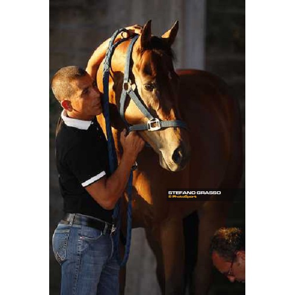 Veterinary visit for the horses of Palio di Siena loc. Il Ceppo, Siena, 8th august 2008 ph. Stefano Grasso 