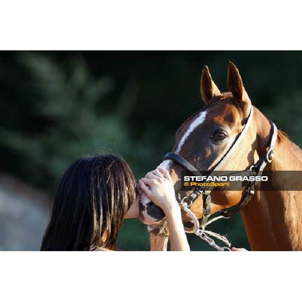a kiss by Claudia to his horse after the veterinary visit loc. Il Ceppo, Siena, 8th august 2008 ph. Stefano Grasso