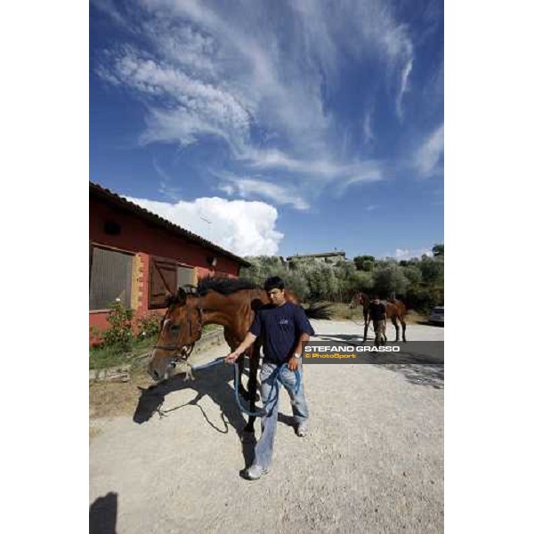 two grooms with their horses during the veterinary visit for the horses of Palio di Siena loc. Il Ceppo, Siena, 8th august 2008 ph. Stefano Grasso