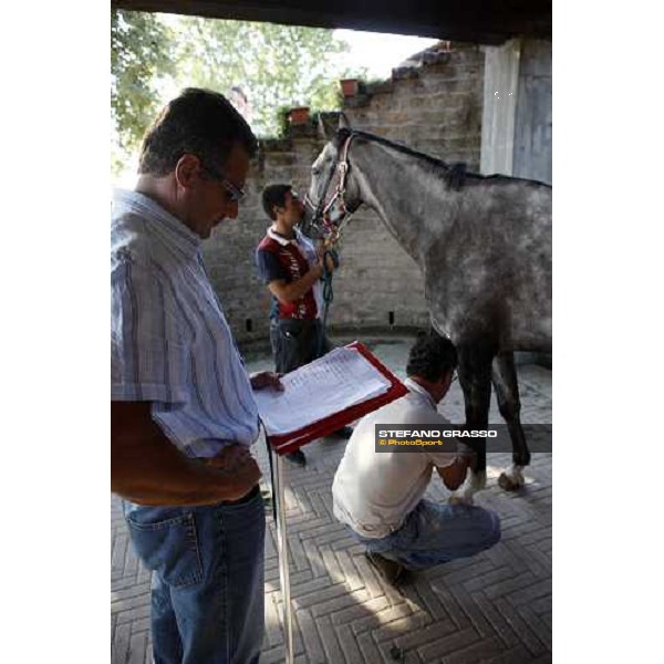 the veterinary visit for the horses of Palio di Siena loc. Il Ceppo, Siena, 8th august 2008 ph. Stefano Grasso
