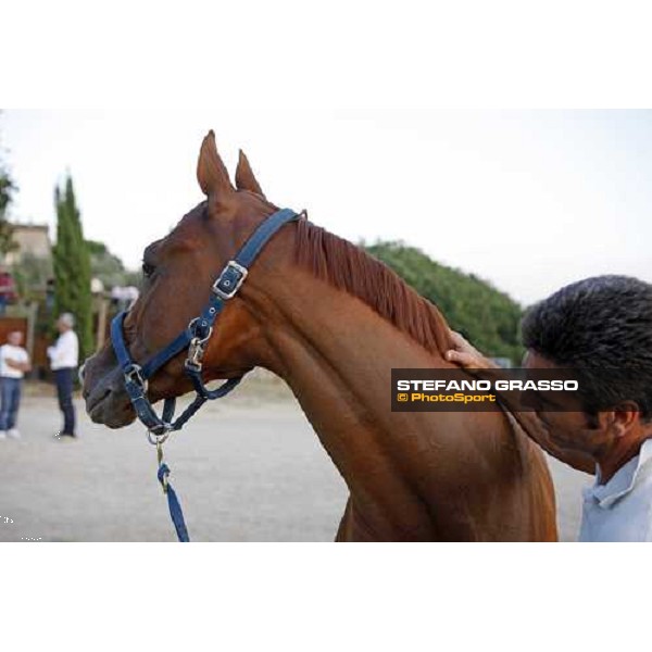 Giˆ del Menir during veterinary visit for the horses of Palio di Siena loc. Il Ceppo, Siena, 8th august 2008 ph. Stefano Grasso