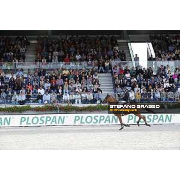 LGCT of Valkenswaard - Grand Prix - Michael Duffy (IRL) on Efs Top Contender - Valkenswaard, Stal Tops, 11 August 2018 - ph.Stefano Grasso/LGCT