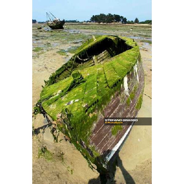 Plougrescant - North Bretagne 8th june 2004 ph. Stefano Grasso