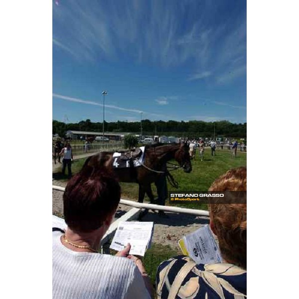 La Baie racetrack - parade ring 8th june 2004 ph. Stefano Grasso 