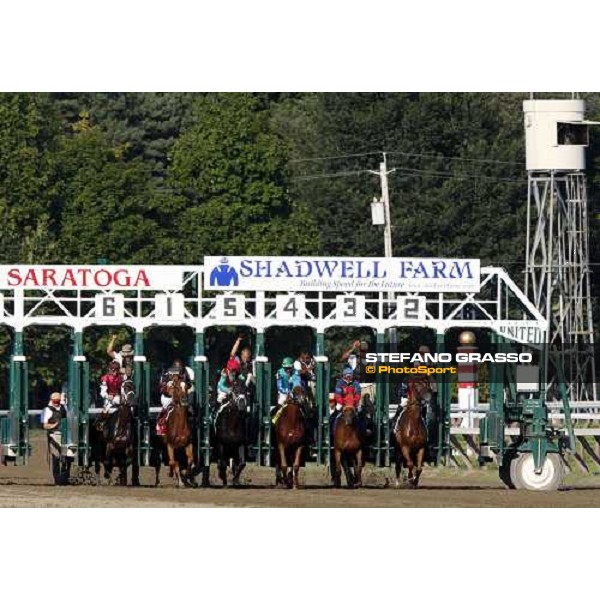 the start of the 61st running of the Personal Ensign won by Ginger Punch Saratoga (NY), 22nd august 2008 ph. Stefano Grasso