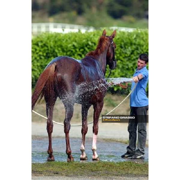 shower for Memsie de Gravelle at La Baie racetrack 8th june 2004 ph. Stefano Grasso 