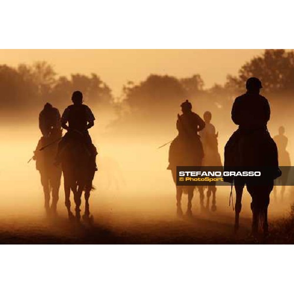 morning worksout at Oklahoma training track Saratoga, 23rd august 2008 ph. Stefano Grasso