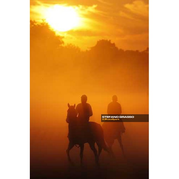 morning worksout at Oklahoma racetrack Saratoga, 23rd august 2008 ph. Stefano Grasso