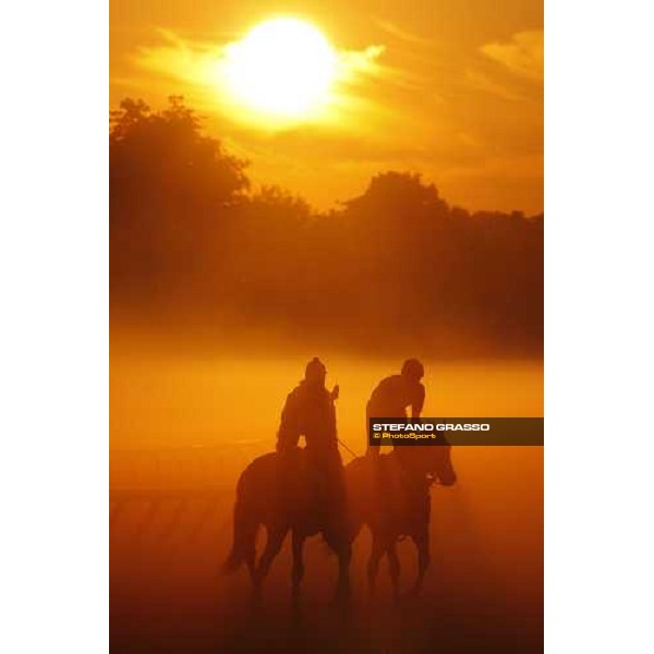 morning worksout at Oklahoma racetrack Saratoga, 23rd august 2008 ph. Stefano Grasso