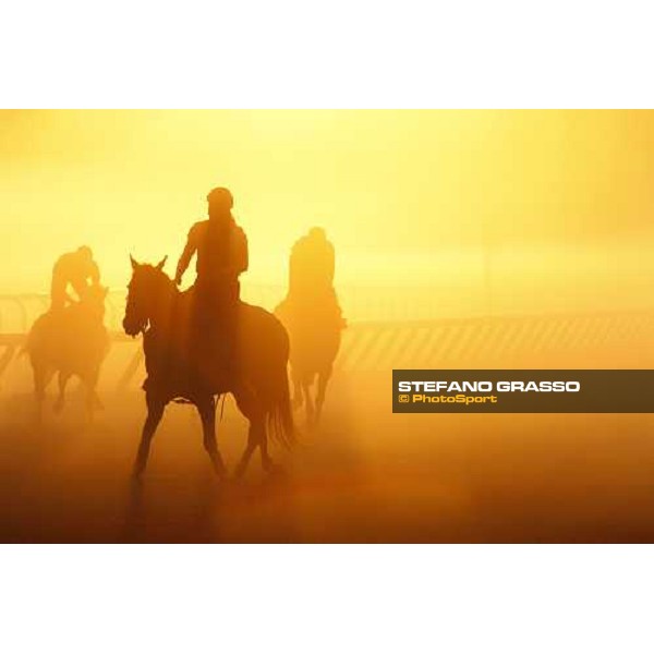 morning worksout at Oklahoma racetrack Saratoga, 23rd august 2008 ph. Stefano Grasso