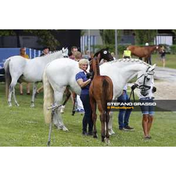 LGCT of Berlin - Foal Presentation - Berlin, Sommergarten, 27 July 2018 - ph.Stefano Grasso/LGCT