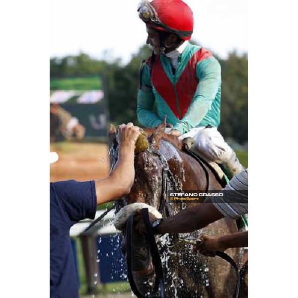 a shower for Visionaire after winning with Alan Garcia up the 24th running of the Netjets King\'s Bishop Saratoga, 23rd august 2008 ph. Stefano Grasso