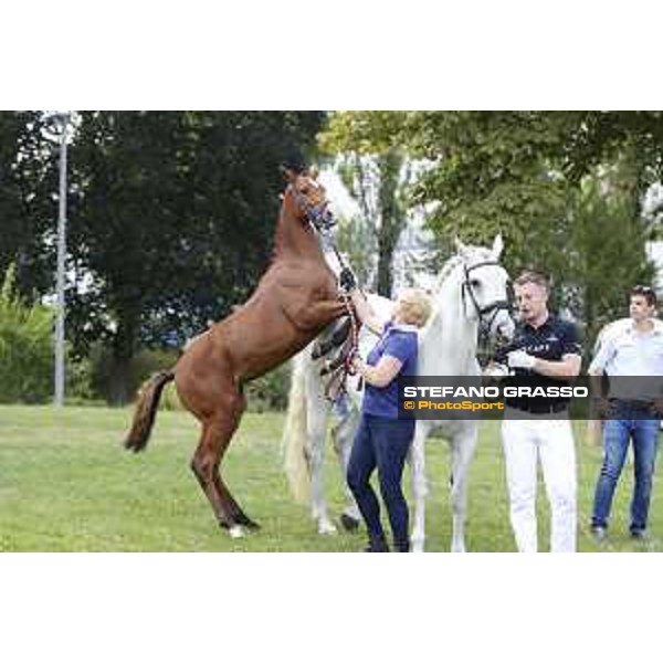 LGCT of Berlin - Foal Presentation - Berlin, Sommergarten, 27 July 2018 - ph.Stefano Grasso/LGCT