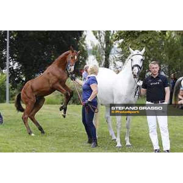LGCT of Berlin - Foal Presentation - Berlin, Sommergarten, 27 July 2018 - ph.Stefano Grasso/LGCT