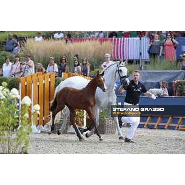 LGCT of Berlin - Foal Presentation - Berlin, Sommergarten, 27 July 2018 - ph.Stefano Grasso/LGCT