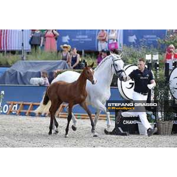 LGCT of Berlin - Foal Presentation - Berlin, Sommergarten, 27 July 2018 - ph.Stefano Grasso/LGCT
