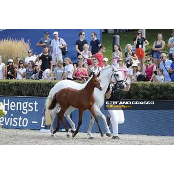 LGCT of Berlin - Foal Presentation - Berlin, Sommergarten, 27 July 2018 - ph.Stefano Grasso/LGCT
