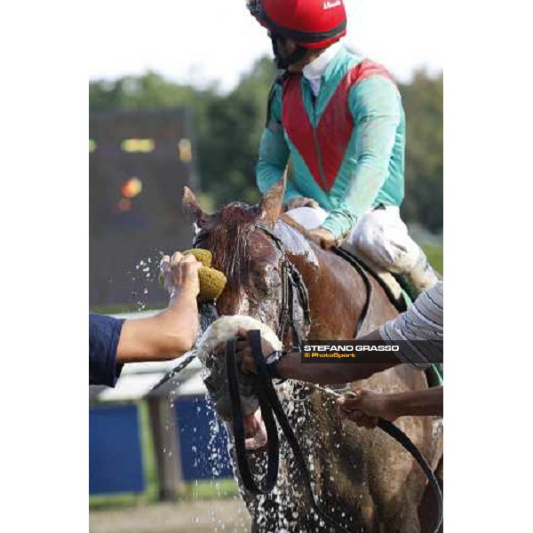 a shower for Visionaire after winning the 24th running of the Netjets King\'s Bishop Saratoga, 23rd august 2008 ph. Stefano Grasso