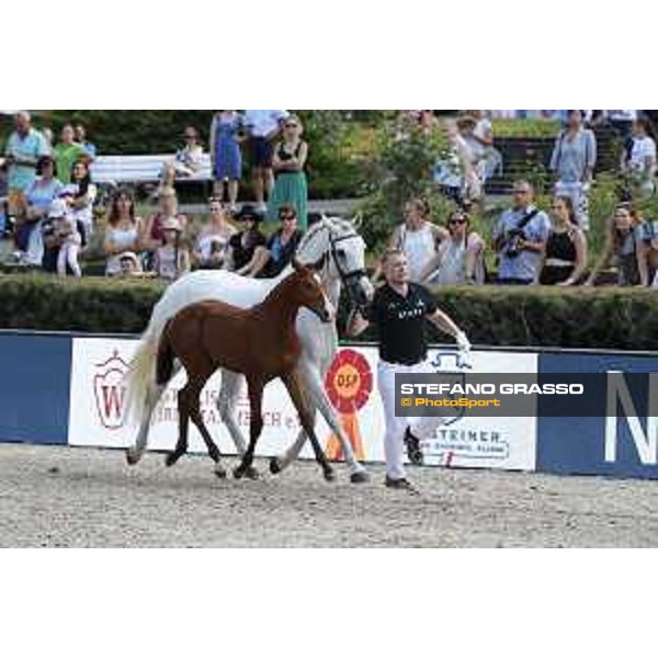 LGCT of Berlin - Foal Presentation - Berlin, Sommergarten, 27 July 2018 - ph.Stefano Grasso/LGCT