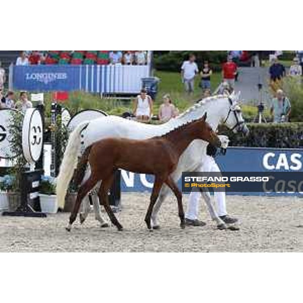 LGCT of Berlin - Foal Presentation - Berlin, Sommergarten, 27 July 2018 - ph.Stefano Grasso/LGCT