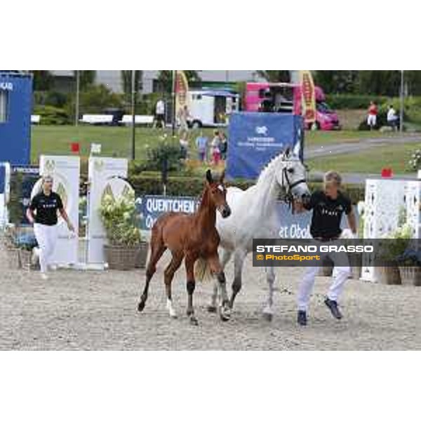 LGCT of Berlin - Foal Presentation - Berlin, Sommergarten, 27 July 2018 - ph.Stefano Grasso/LGCT