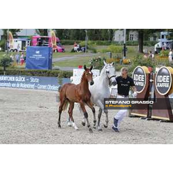 LGCT of Berlin - Foal Presentation - Berlin, Sommergarten, 27 July 2018 - ph.Stefano Grasso/LGCT