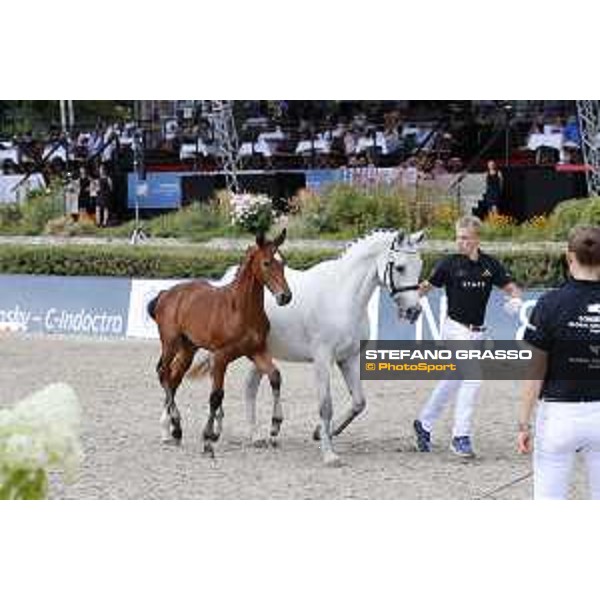 LGCT of Berlin - Foal Presentation - Berlin, Sommergarten, 27 July 2018 - ph.Stefano Grasso/LGCT