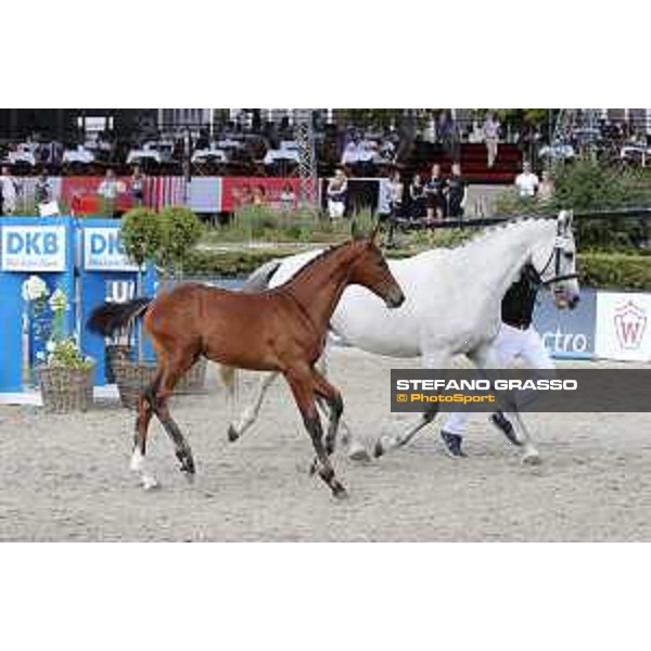LGCT of Berlin - Foal Presentation - Berlin, Sommergarten, 27 July 2018 - ph.Stefano Grasso/LGCT