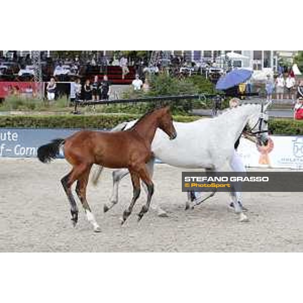 LGCT of Berlin - Foal Presentation - Berlin, Sommergarten, 27 July 2018 - ph.Stefano Grasso/LGCT