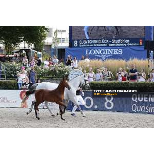 LGCT of Berlin - Foal Presentation - Berlin, Sommergarten, 27 July 2018 - ph.Stefano Grasso/LGCT