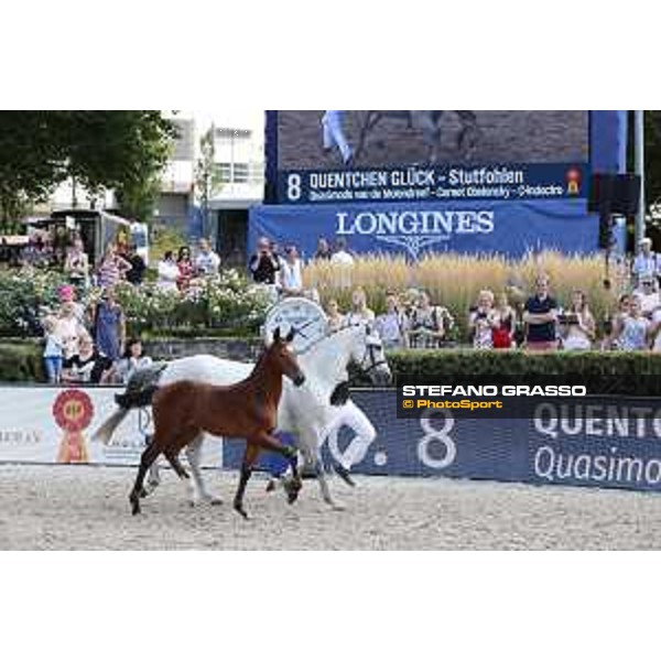 LGCT of Berlin - Foal Presentation - Berlin, Sommergarten, 27 July 2018 - ph.Stefano Grasso/LGCT