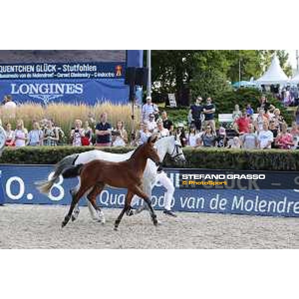 LGCT of Berlin - Foal Presentation - Berlin, Sommergarten, 27 July 2018 - ph.Stefano Grasso/LGCT