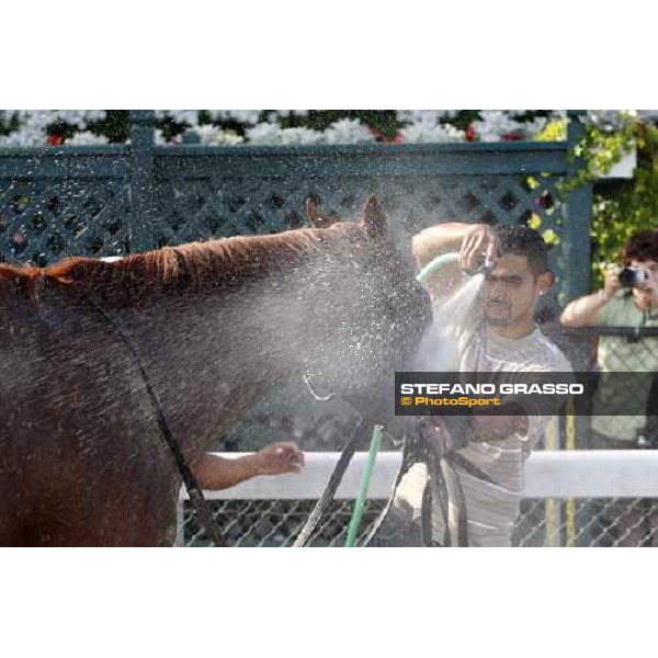 a shower after the race Saratoga, 23rd august 2008 ph. Stefano Grasso