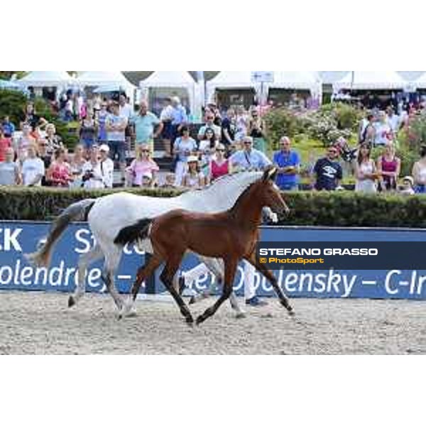 LGCT of Berlin - Foal Presentation - Berlin, Sommergarten, 27 July 2018 - ph.Stefano Grasso/LGCT