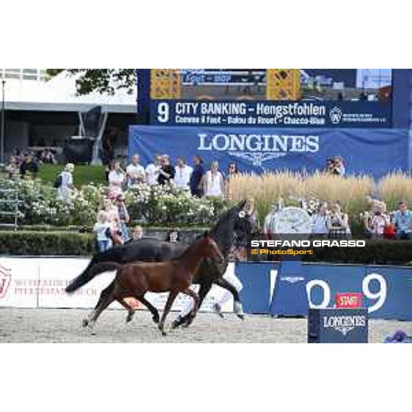 LGCT of Berlin - Foal Presentation - Berlin, Sommergarten, 27 July 2018 - ph.Stefano Grasso/LGCT