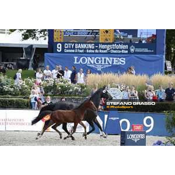 LGCT of Berlin - Foal Presentation - Berlin, Sommergarten, 27 July 2018 - ph.Stefano Grasso/LGCT