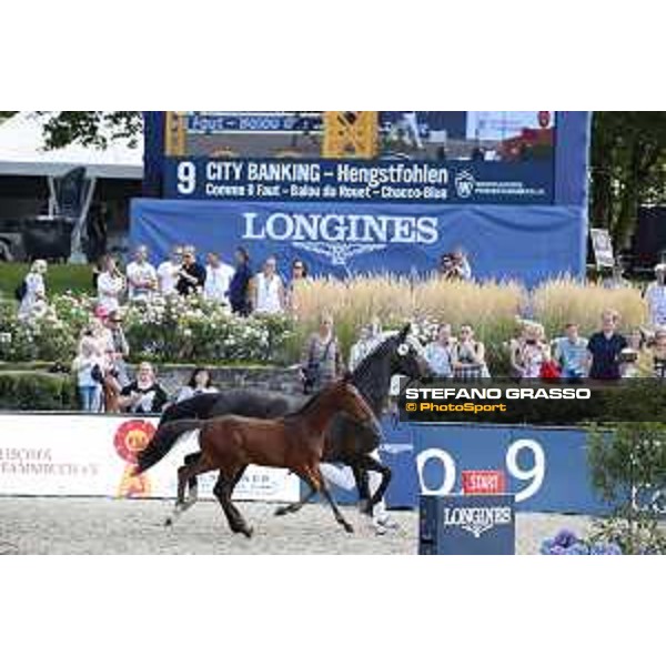 LGCT of Berlin - Foal Presentation - Berlin, Sommergarten, 27 July 2018 - ph.Stefano Grasso/LGCT