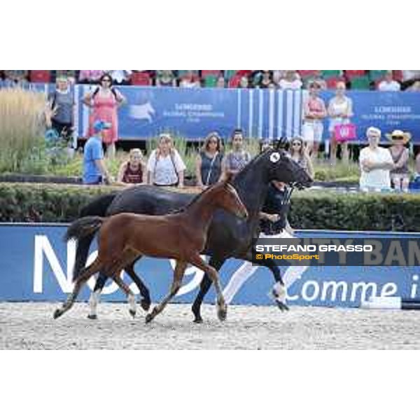 LGCT of Berlin - Foal Presentation - Berlin, Sommergarten, 27 July 2018 - ph.Stefano Grasso/LGCT