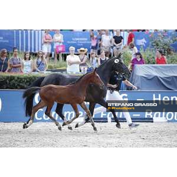 LGCT of Berlin - Foal Presentation - Berlin, Sommergarten, 27 July 2018 - ph.Stefano Grasso/LGCT
